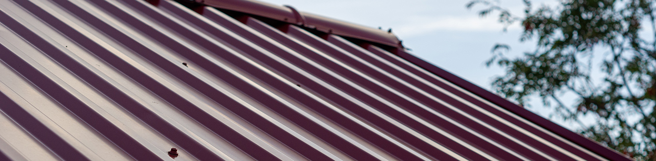 profiluota stogo danga | Borga