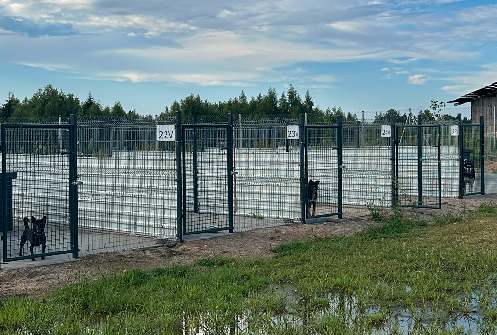 SOS gyvūnai | Borga parama